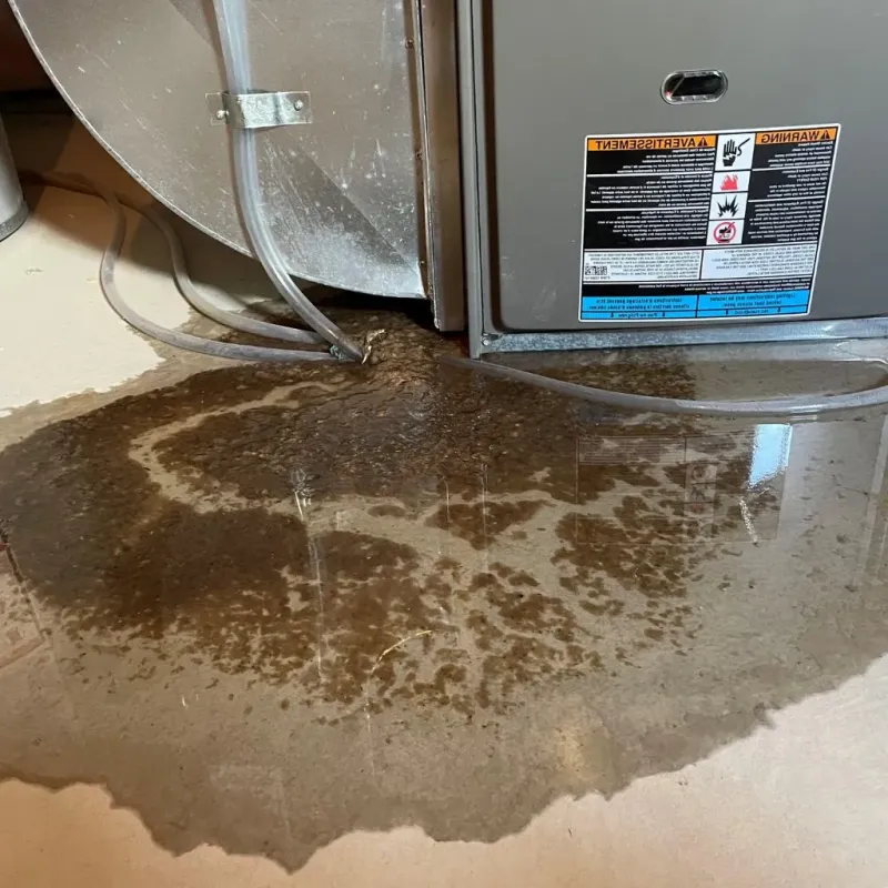 Pipe Burst and Leak Restoration in Madison County, MT